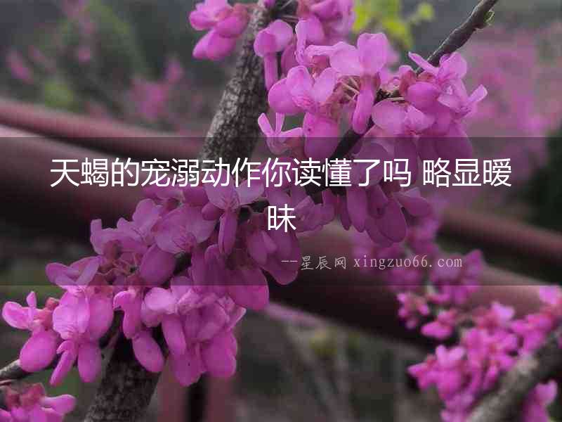 天蝎的寵溺動作你讀懂了嗎 略顯曖昧