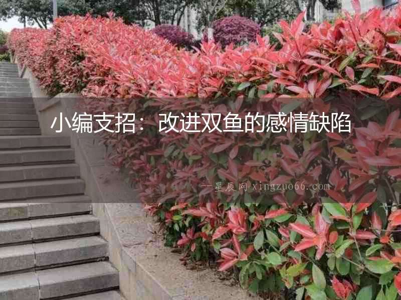 小編支招：改進(jìn)雙魚的感情缺陷