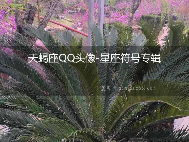 天蝎座QQ頭像-星座符號專輯