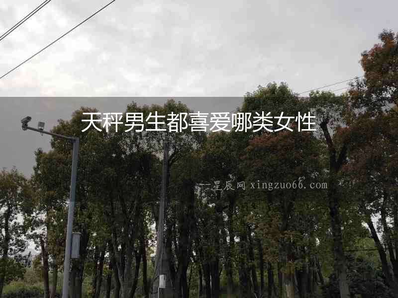 天秤男生都喜愛哪類女性