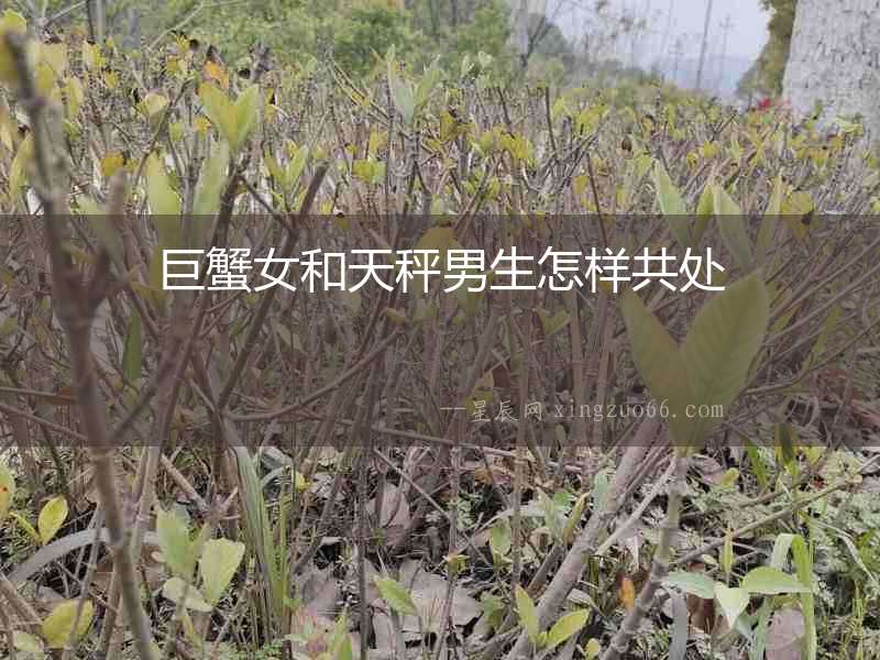 巨蟹女和天秤男生怎樣共處