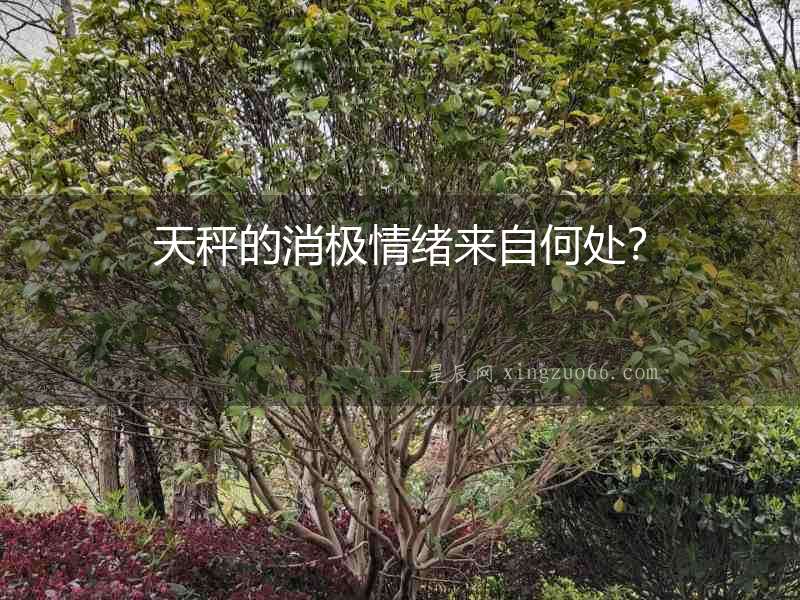 天秤的消極情緒來自何處？