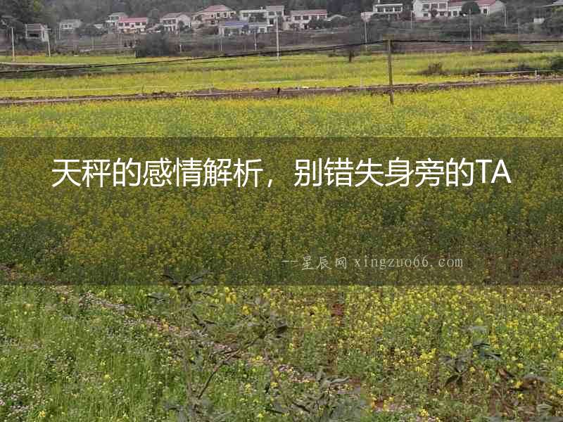 天秤的感情解析，別錯失身旁的TA