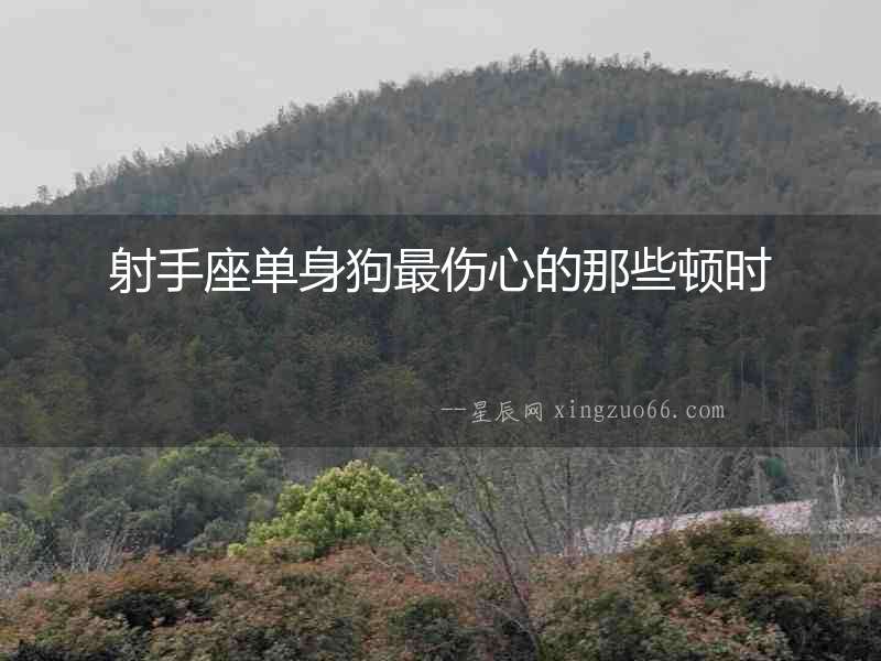 射手座單身狗最傷心的那些頓時