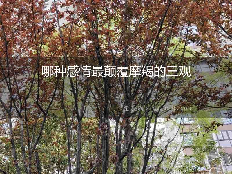 哪種感情最顛覆摩羯的三觀