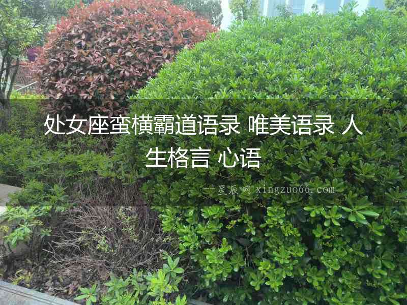處女座蠻橫霸道語錄 唯美語錄 人生格言 心語