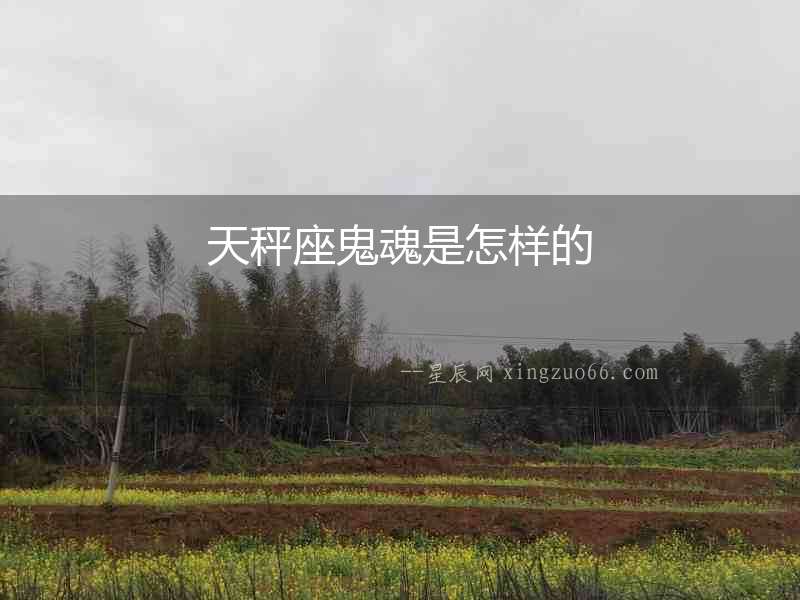 天秤座鬼魂是怎樣的