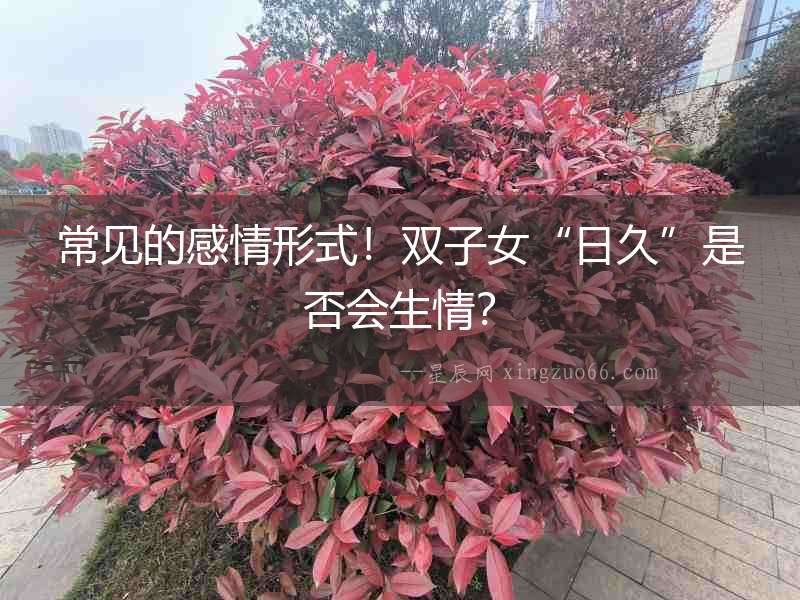 常見的感情形式！雙子女“日久”是否會生情？