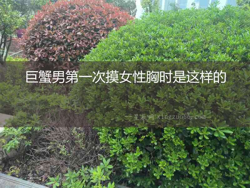 巨蟹男第一次摸女性胸時是這樣的