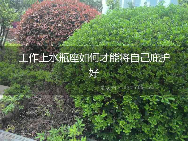 工作上水瓶座如何才能將自己庇護(hù)好