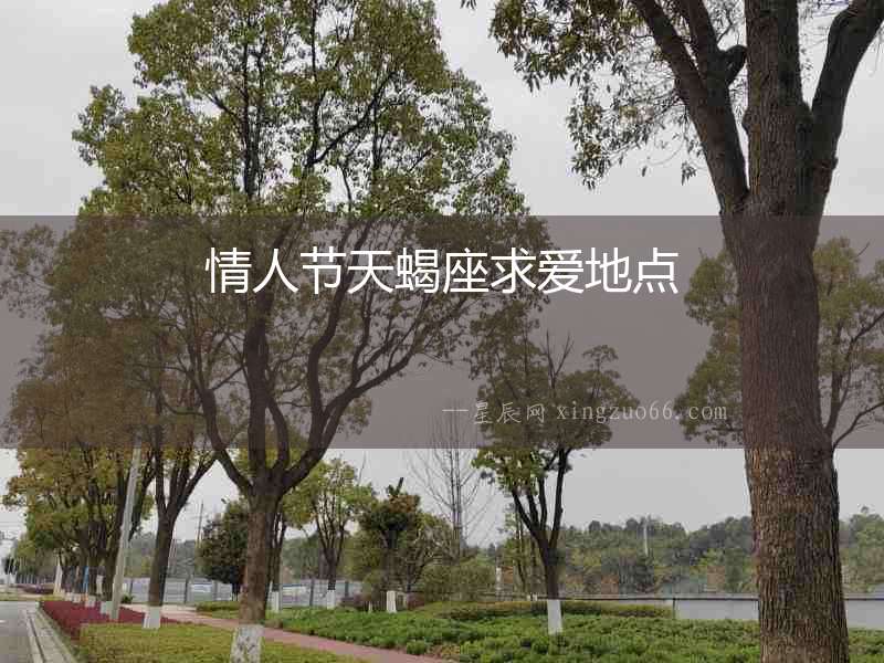 情人節天蝎座求愛地點