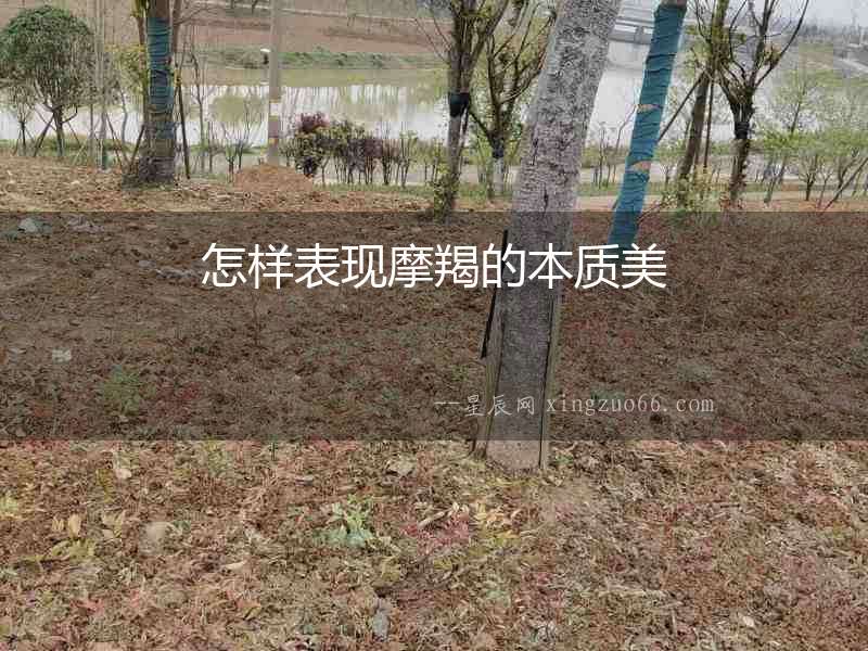 怎樣表現(xiàn)摩羯的本質美