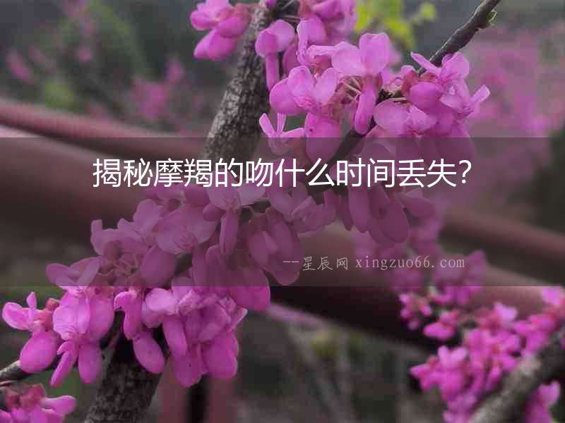 揭秘摩羯的吻什么時(shí)間丟失？