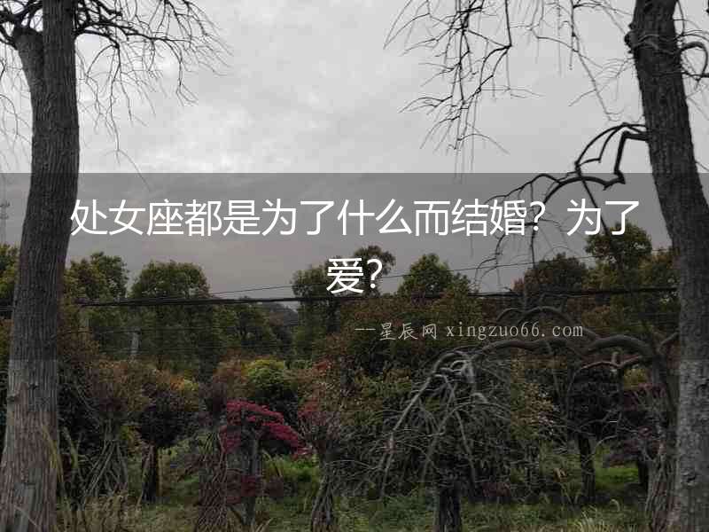 處女座都是為了什么而結婚？為了愛？