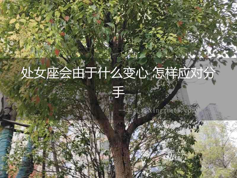 處女座會由于什么變心 怎樣應對分手