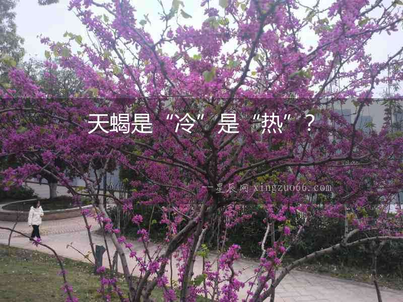 天蝎是“冷”是“熱”？