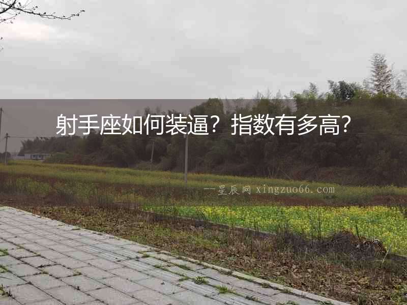 射手座如何裝逼？指數有多高？