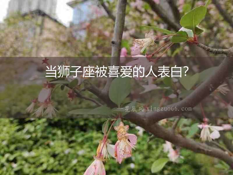當獅子座被喜愛的人表白？