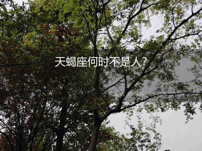 天蝎座何時不是人？