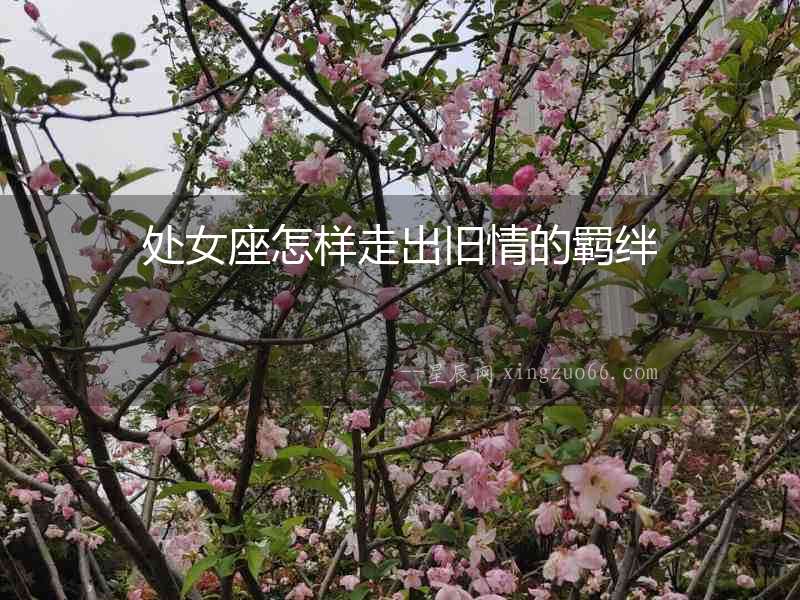 處女座怎樣走出舊情的羈絆
