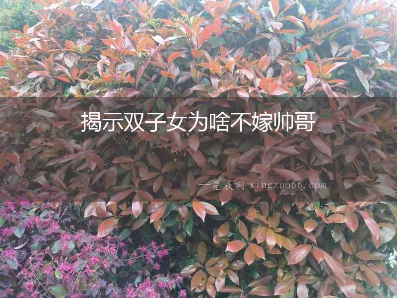 揭示雙子女為啥不嫁帥哥