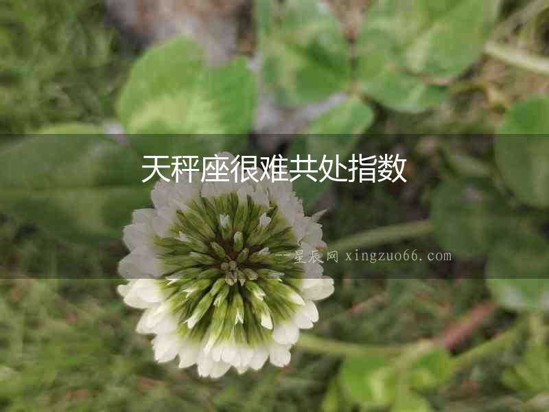 天秤座很難共處指數