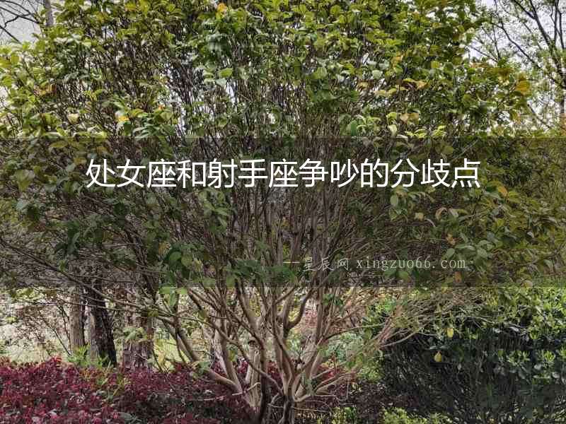 處女座和射手座爭吵的分歧點