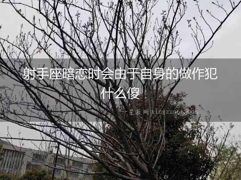 射手座暗戀時會由于自身的做作犯什么傻