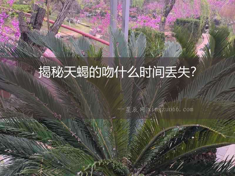 揭秘天蝎的吻什么時間丟失？