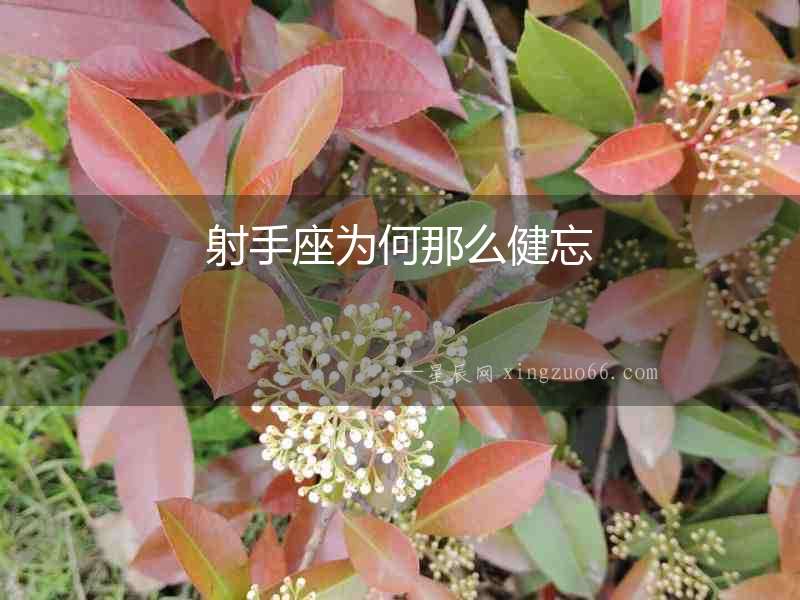 射手座為何那么健忘