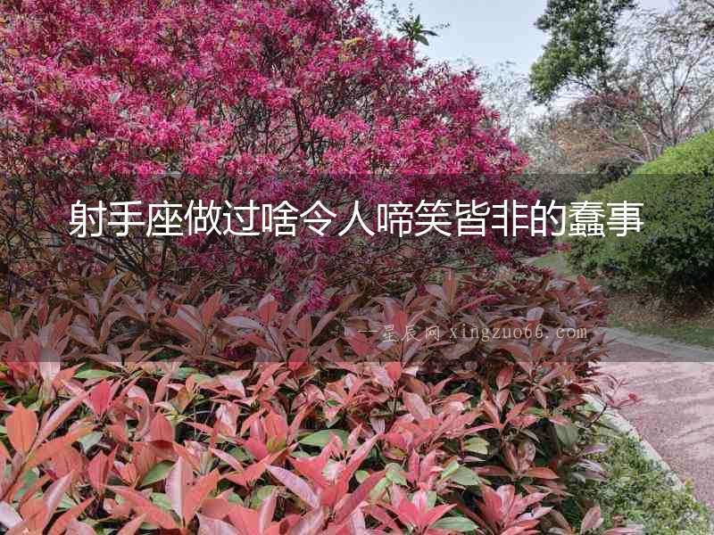 射手座做過(guò)啥令人啼笑皆非的蠢事