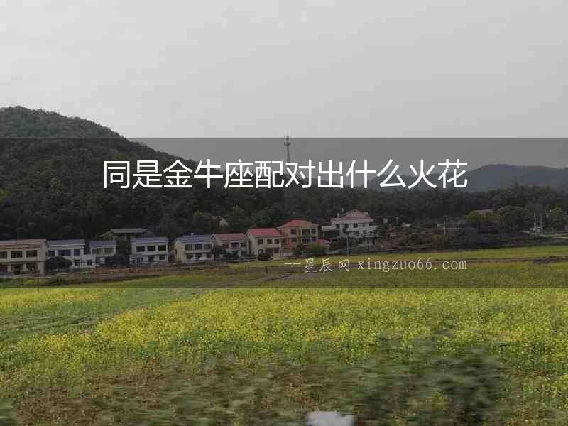 同是金牛座配對出什么火花
