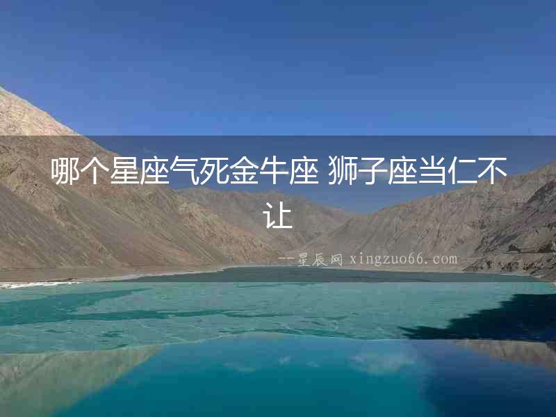 哪個星座氣死金牛座 獅子座當仁不讓