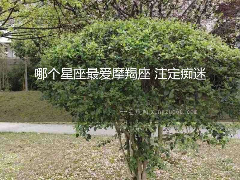 哪個星座最愛摩羯座 注定癡迷