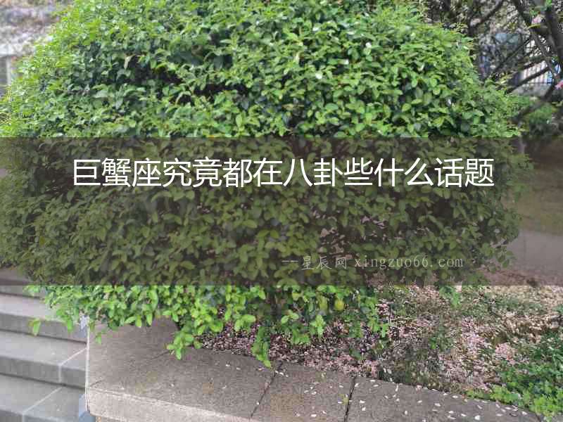 巨蟹座究竟都在八卦些什么話題
