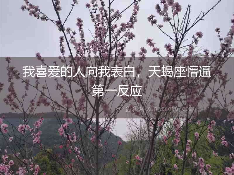 我喜愛的人向我表白，天蝎座懵逼第一反應