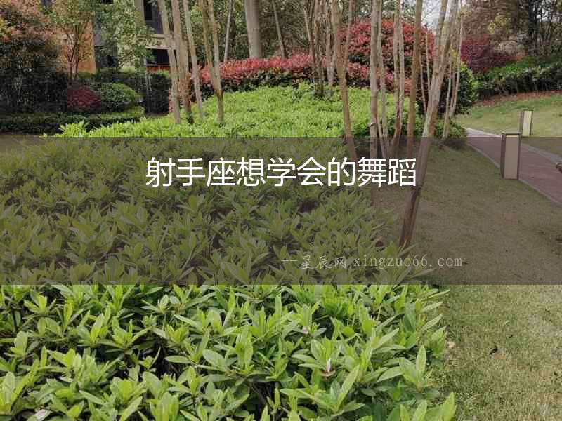 射手座想學會的舞蹈