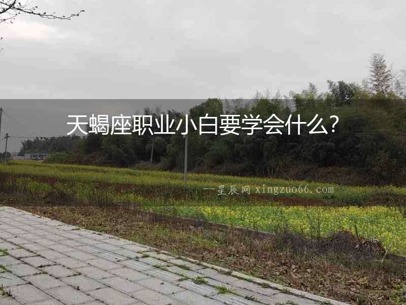 天蝎座職業小白要學會什么？