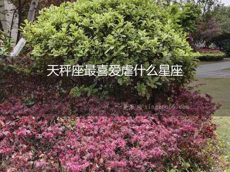 天秤座最喜愛虐什么星座