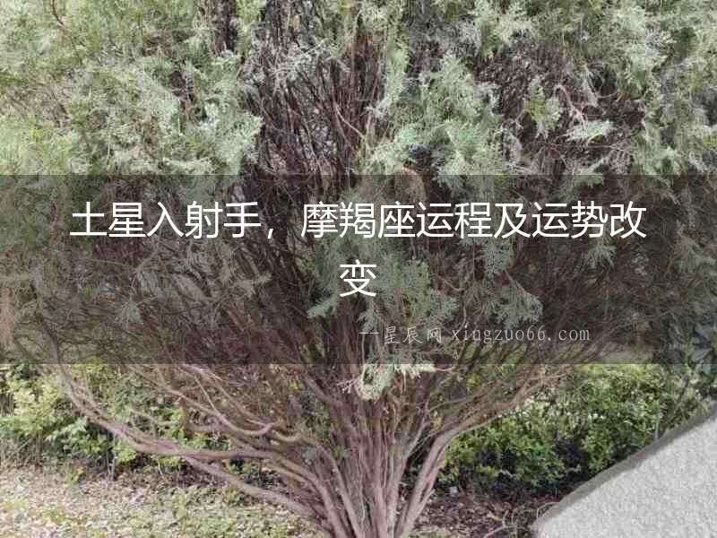土星入射手，摩羯座運程及運勢改變
