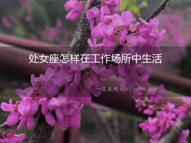 處女座怎樣在工作場(chǎng)所中生活