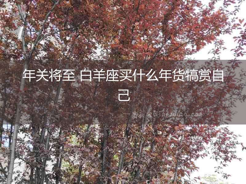 年關將至 白羊座買什么年貨犒賞自己