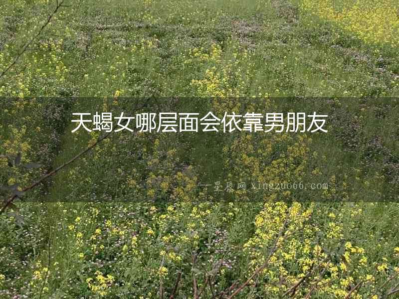 天蝎女哪層面會依靠男朋友
