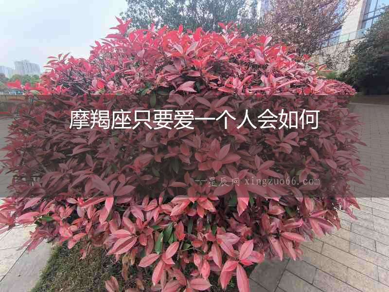 摩羯座只要愛一個人會如何