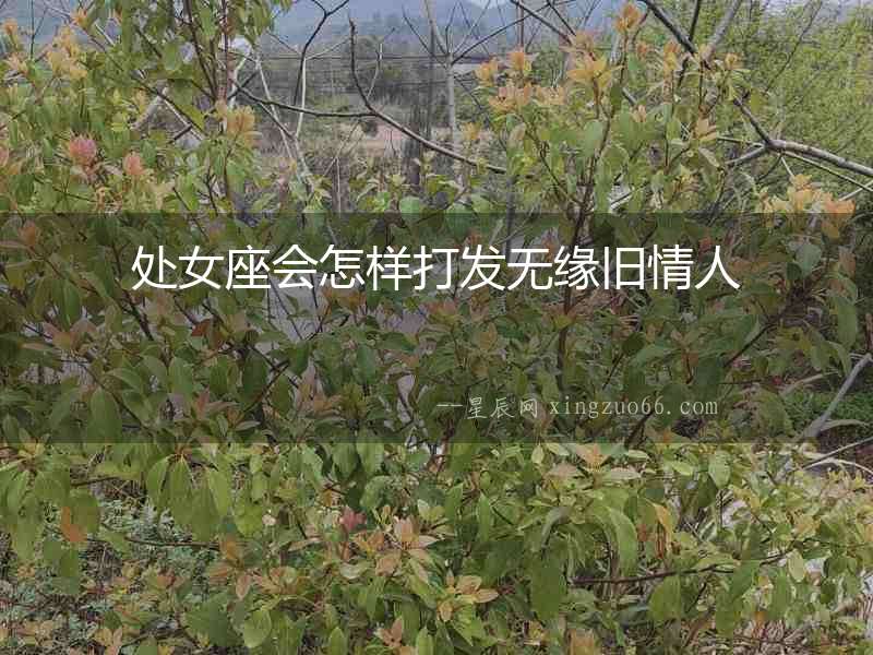 處女座會怎樣打發無緣舊情人