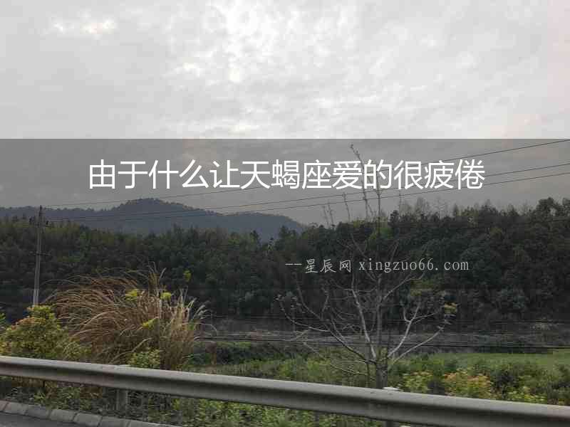 由于什么讓天蝎座愛的很疲倦