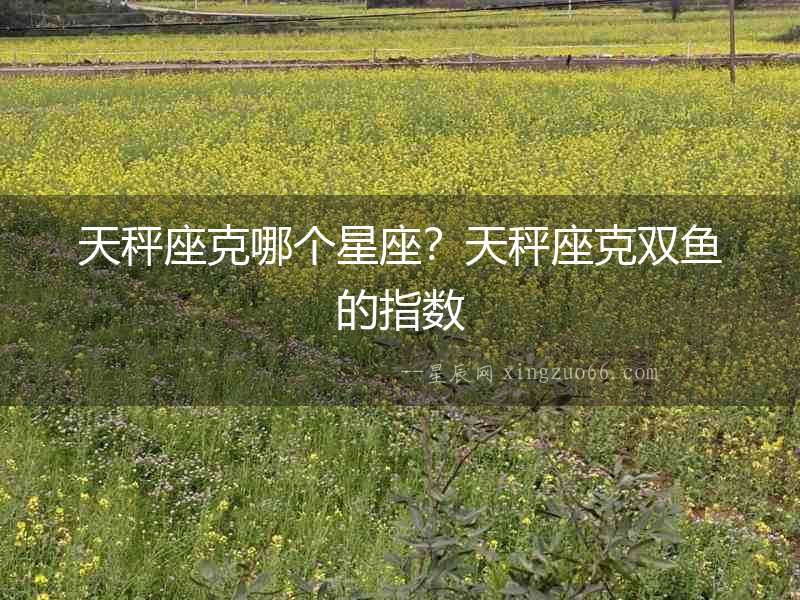 天秤座克哪個星座？天秤座克雙魚的指數