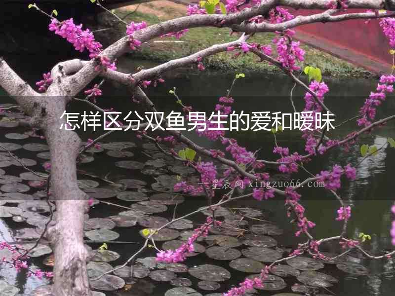 怎樣區(qū)分雙魚(yú)男生的愛(ài)和曖昧