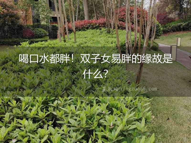 喝口水都胖！雙子女易胖的緣故是什么？