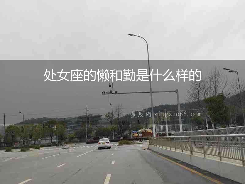 處女座的懶和勤是什么樣的
